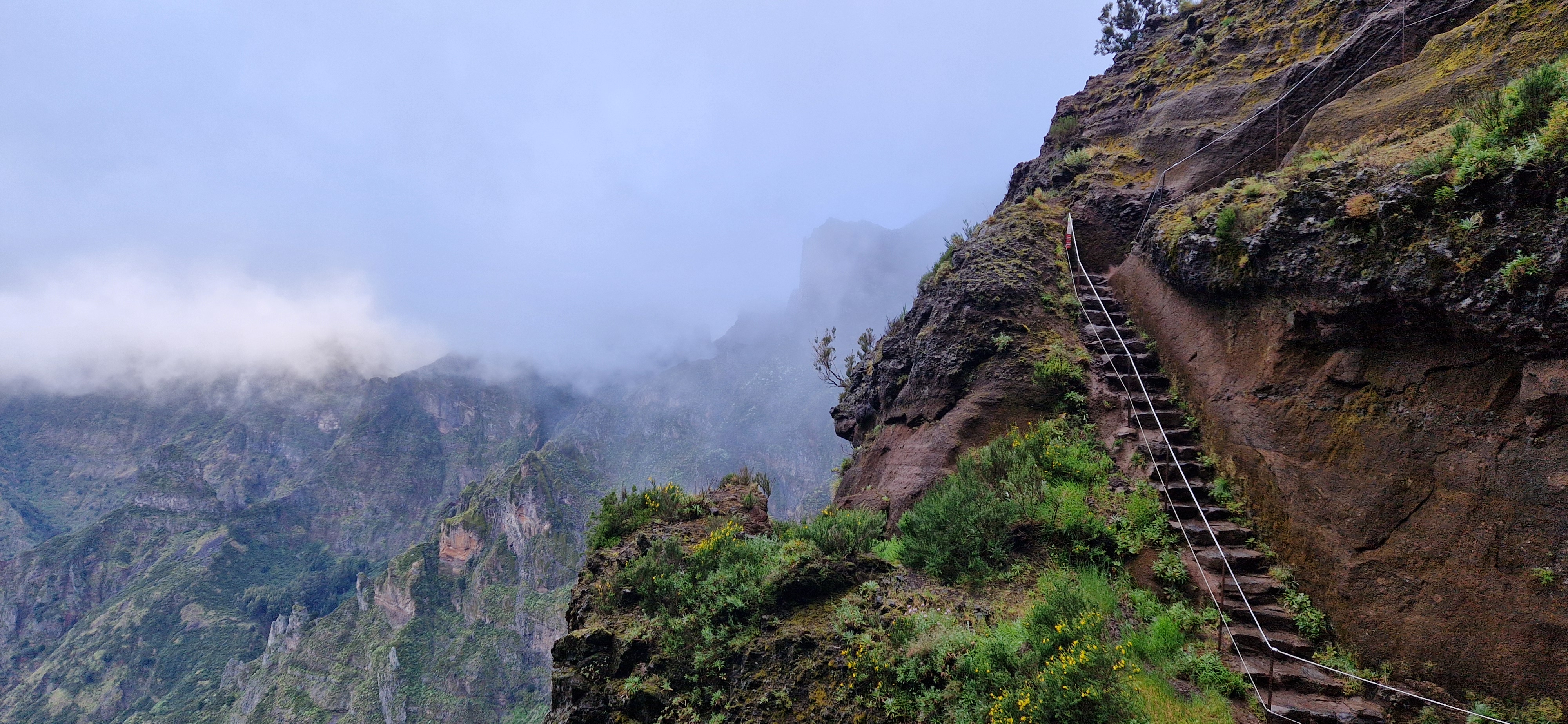 Levada com nevoeiro, Madeira
